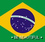 Бразилски флаг