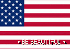 Американски флаг