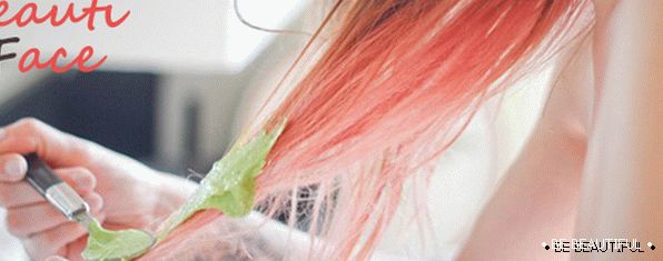 Прилагане на маски от авокадо върху косата