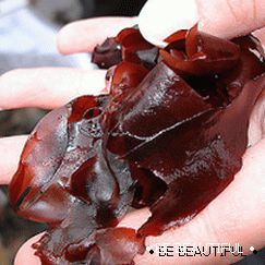 Тъмно червена ядивна водорасли